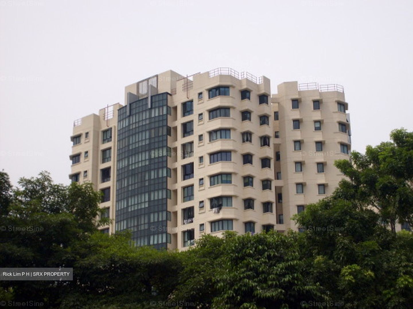 Simsville (D14), Condominium #596915911